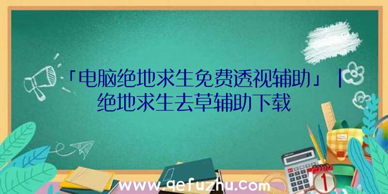 「电脑绝地求生免费透视辅助」|绝地求生去草辅助下载